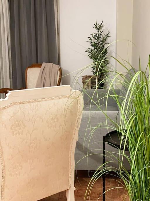 Rooms In Spacious Beach Flat In Valencia Kültér fotó